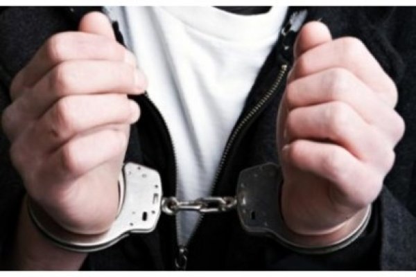 Indivizii care au răpit o minoră din Palazu Mare, arestaţi pentru 29 de zile